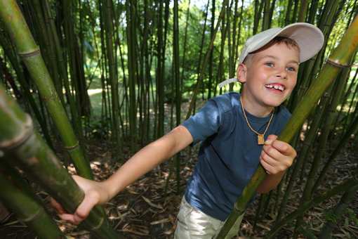 9 Beautiful Botanical Gardens in Connecticut!